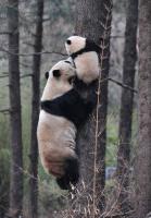 15-day Hong Kong Guilin Yunnan Tibet Chengdu Tour 
